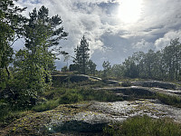 ØyvindBergkvam_20241013_670ba1ceacc4f.jpg