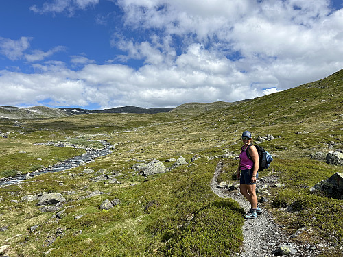 På vei innover Breiddalen