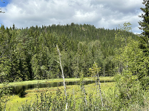 Moliksåsen sett fra skogsveien