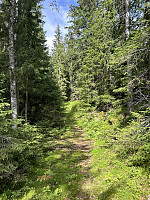 ØyvindBergkvam_20241015_670ea64743536.jpg