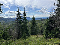 ØyvindBergkvam_20241015_670ea649af76d.jpg