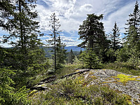 ØyvindBergkvam_20241015_670ea64d8e509.jpg
