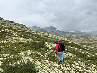 ØyvindBergkvam_20241015_670eb1685a7b9.jpg