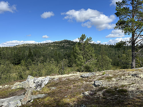 Olasvarden sett fra stien mot Gnedden