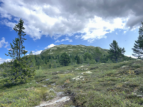 Gnedden sett fra Vadtjønne