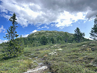ØyvindBergkvam_20241016_670f65decf9a6.jpg