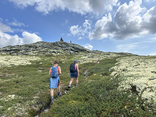 Snart på toppen av Gnedden