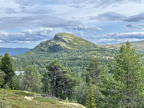 Utsikt tilbake mot Gnedden fra oppstigningen til Olasvarden
