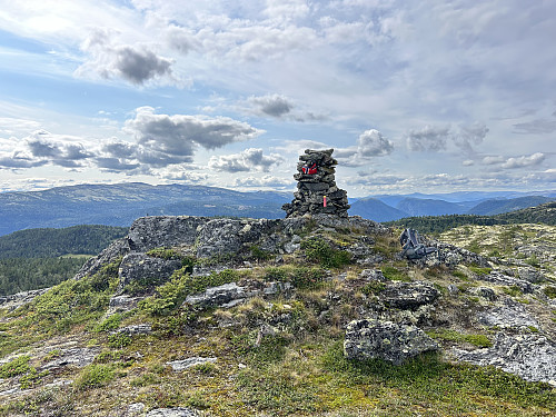 Olasvarden i Sel