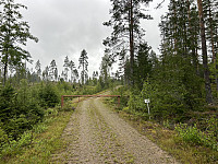 ØyvindBergkvam_20241016_670f6c45190d8.jpg