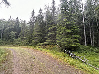 ØyvindBergkvam_20241016_670f6c475ce46.jpg
