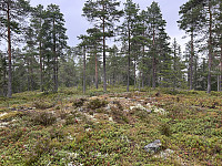 ØyvindBergkvam_20241016_670f6c4c4e2a9.jpg