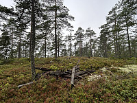 ØyvindBergkvam_20241016_670f6c4ec0ef9.jpg