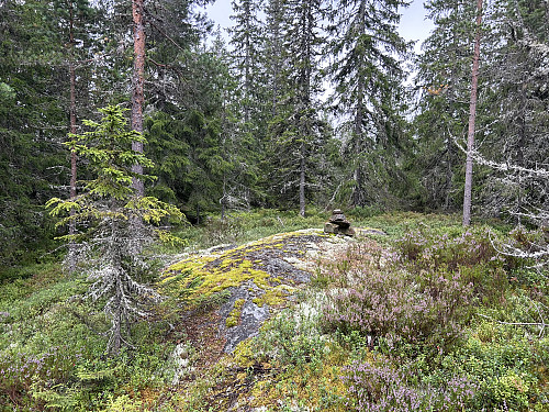 Snauberget i Kongsvinger