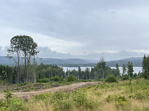 Utsikt østover fra sykkelturen opp mot toppen