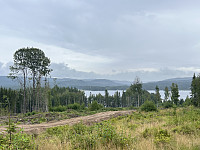 ØyvindBergkvam_20241016_670f73320f97a.jpg