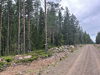 ØyvindBergkvam_20241016_670f7335043aa.jpg