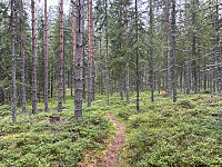 ØyvindBergkvam_20241016_670f733988eea.jpg