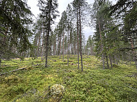 ØyvindBergkvam_20241016_670f733dbd73b.jpg