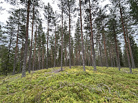 ØyvindBergkvam_20241016_670f73420b888.jpg