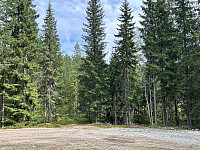 ØyvindBergkvam_20241016_670f783a28fb0.jpg