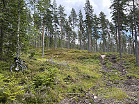 ØyvindBergkvam_20241016_670f783cbe24e.jpg