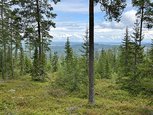 Noe utsikt mot NØ fra Skrivilberget