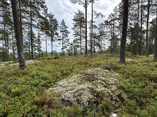 Toppunktet på Skrivilberget