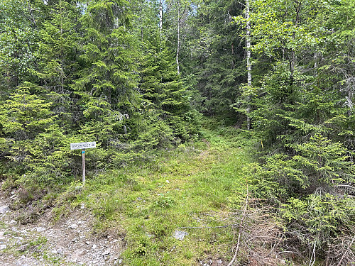 Stistart ved parkeringen i 480 meters høyde