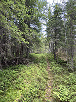 ØyvindBergkvam_20241016_670f7fbbb547d.jpg