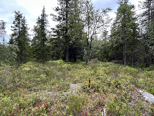 Skasberget i Grue