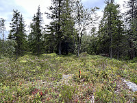 ØyvindBergkvam_20241016_670f7fc23ea5b.jpg