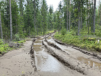 ØyvindBergkvam_20241016_670f84ee1b221.jpg