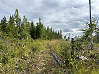 ØyvindBergkvam_20241016_670f84f1d6a8a.jpg