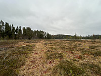 ØyvindBergkvam_20241018_671268929d76a.jpg
