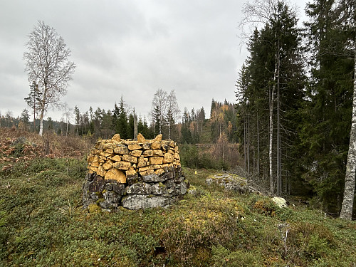 Riksrøys 62