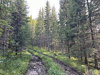 ØyvindBergkvam_20241018_67126bbda3e21.jpg