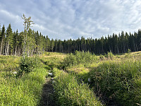 ØyvindBergkvam_20241018_67126bbfe163b.jpg