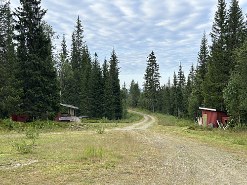 Snuplassen ved Margitkoia
