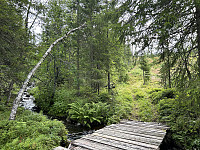 ØyvindBergkvam_20241018_67127586e9af6.jpg