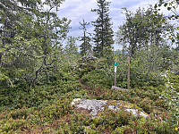 ØyvindBergkvam_20241018_671275943b6f8.jpg