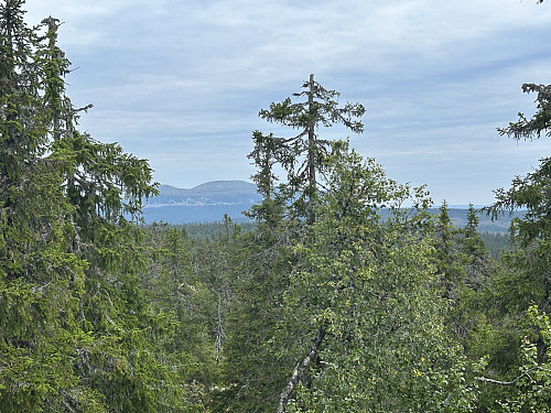 Litt utsikt retning Trysilfjellet fra toppen