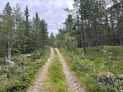 Det er fin vei å sykle på helt til toppen