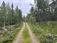 ØyvindBergkvam_20241018_671279e45e9bc.jpg