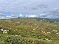 ØyvindBergkvam_20241018_671280921d3db.jpg