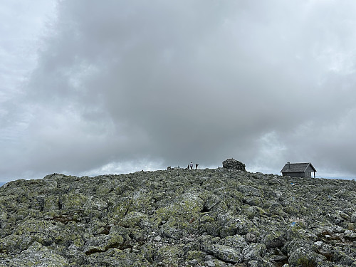 Toppen av Trysilfjellet 1132 moh