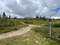 ØyvindBergkvam_20241027_671dec9dd2793.jpg