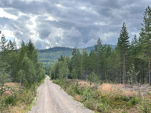 Fønsberget bak til høyre i bildet.
