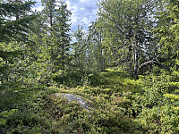 ØyvindBergkvam_20241031_6723d7534d316.jpg