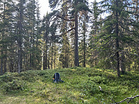 ØyvindBergkvam_20241031_6723d75767c13.jpg